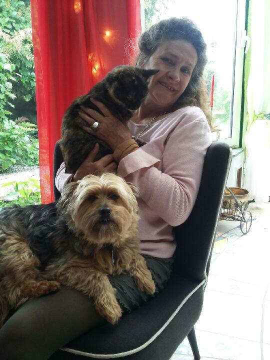 Quedarse En Casa Vannes 253042