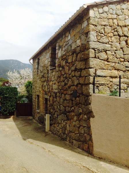 Estudio Independiente Eccica-Suarella 167217