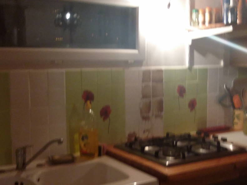 Gastfamilie Guillestre 120116-3