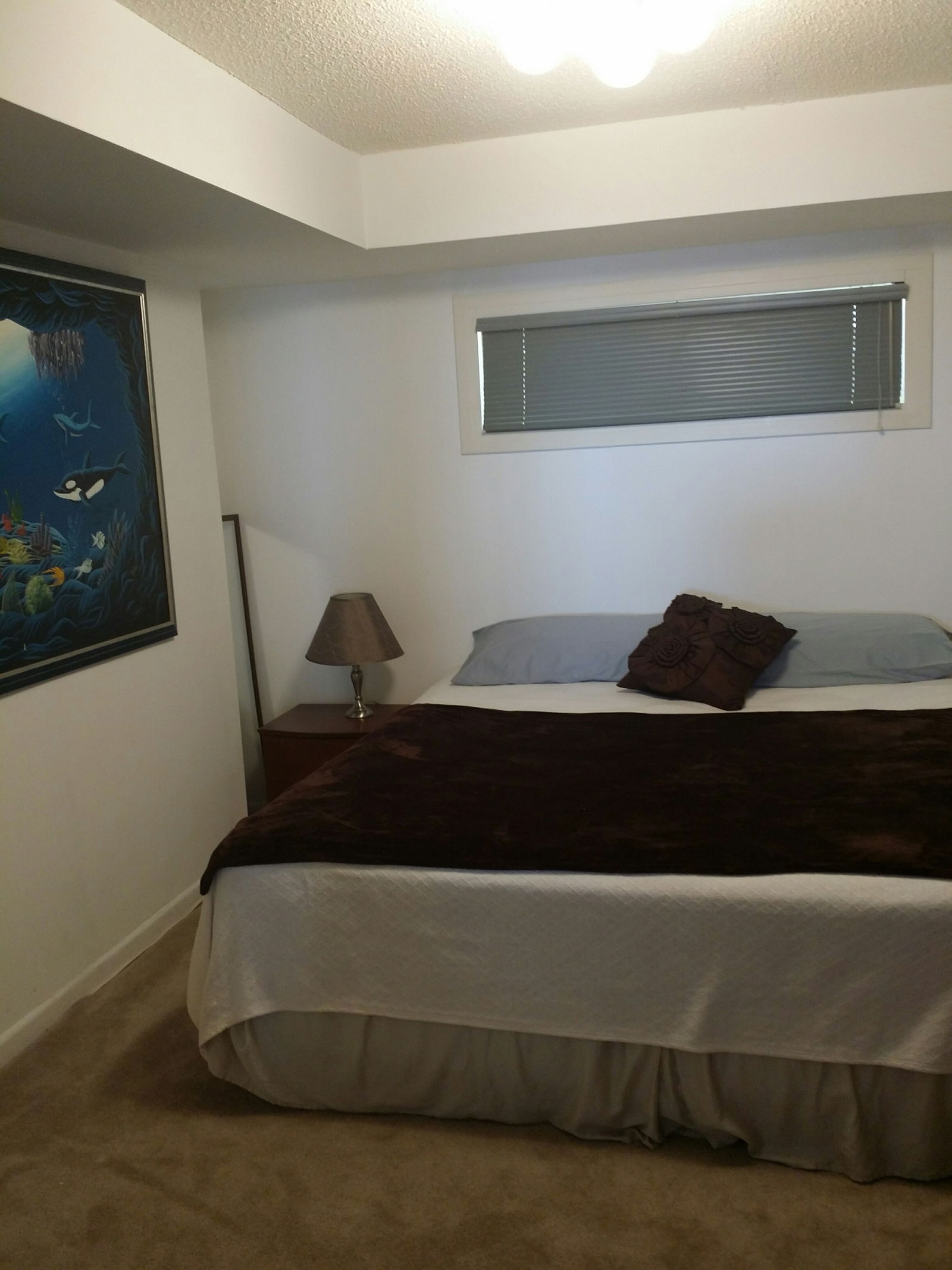 Chambre Chez L'habitant Miami 120006