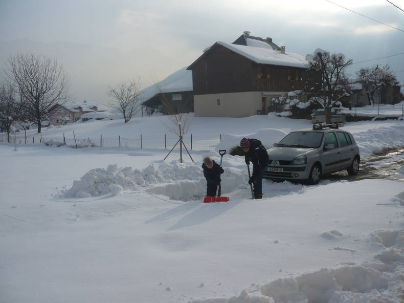 Gastfamilie Mercury 131852-2