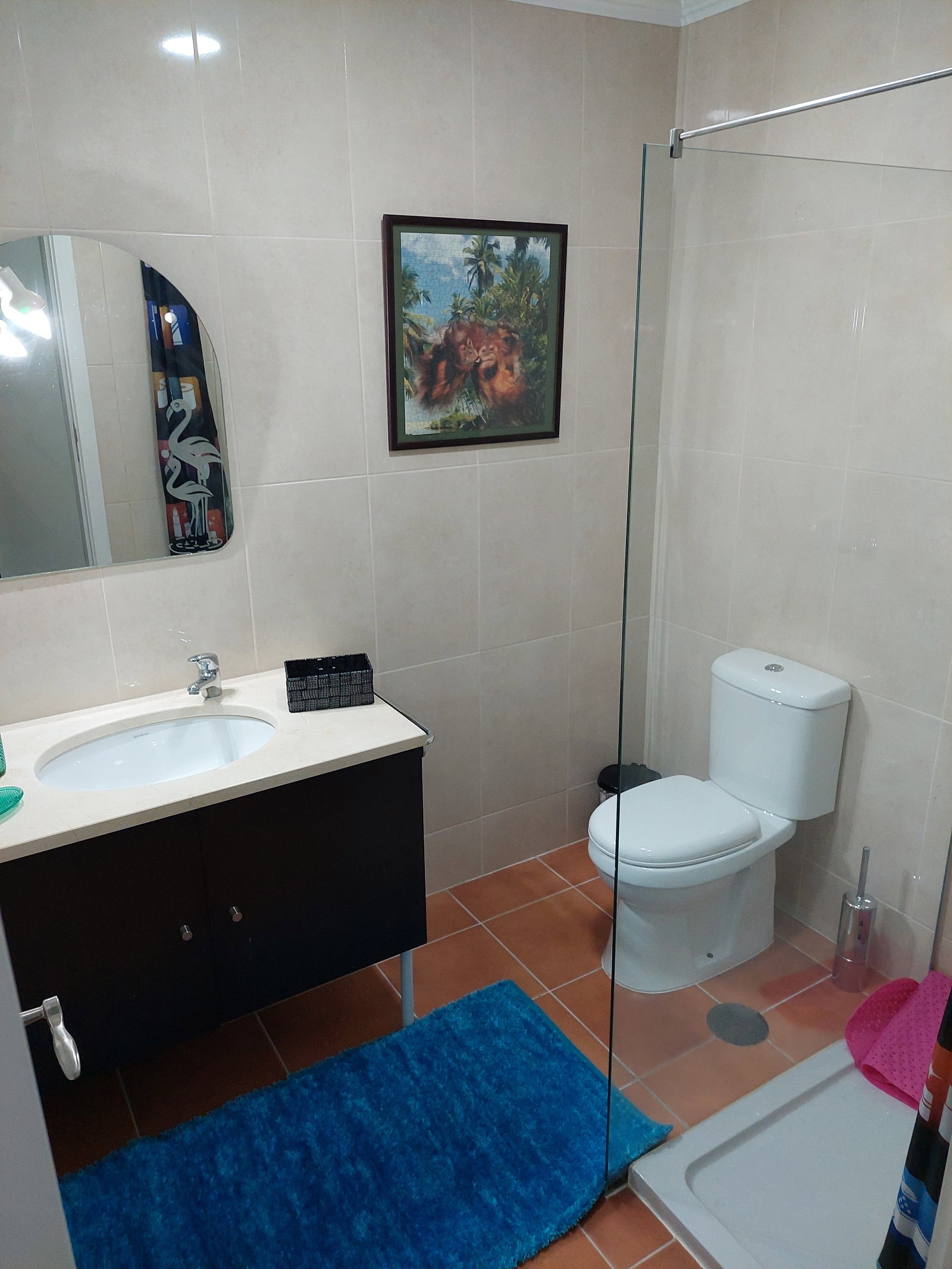 Toda La Casa Guarda 257257