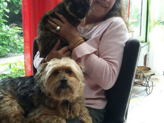 Gastfamilie Vannes 253042-4