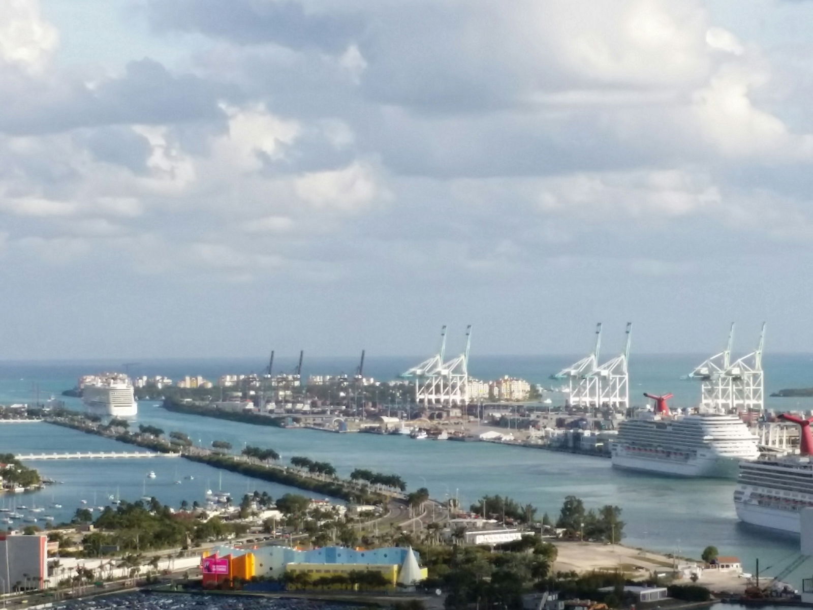 Famiglia Miami 120006