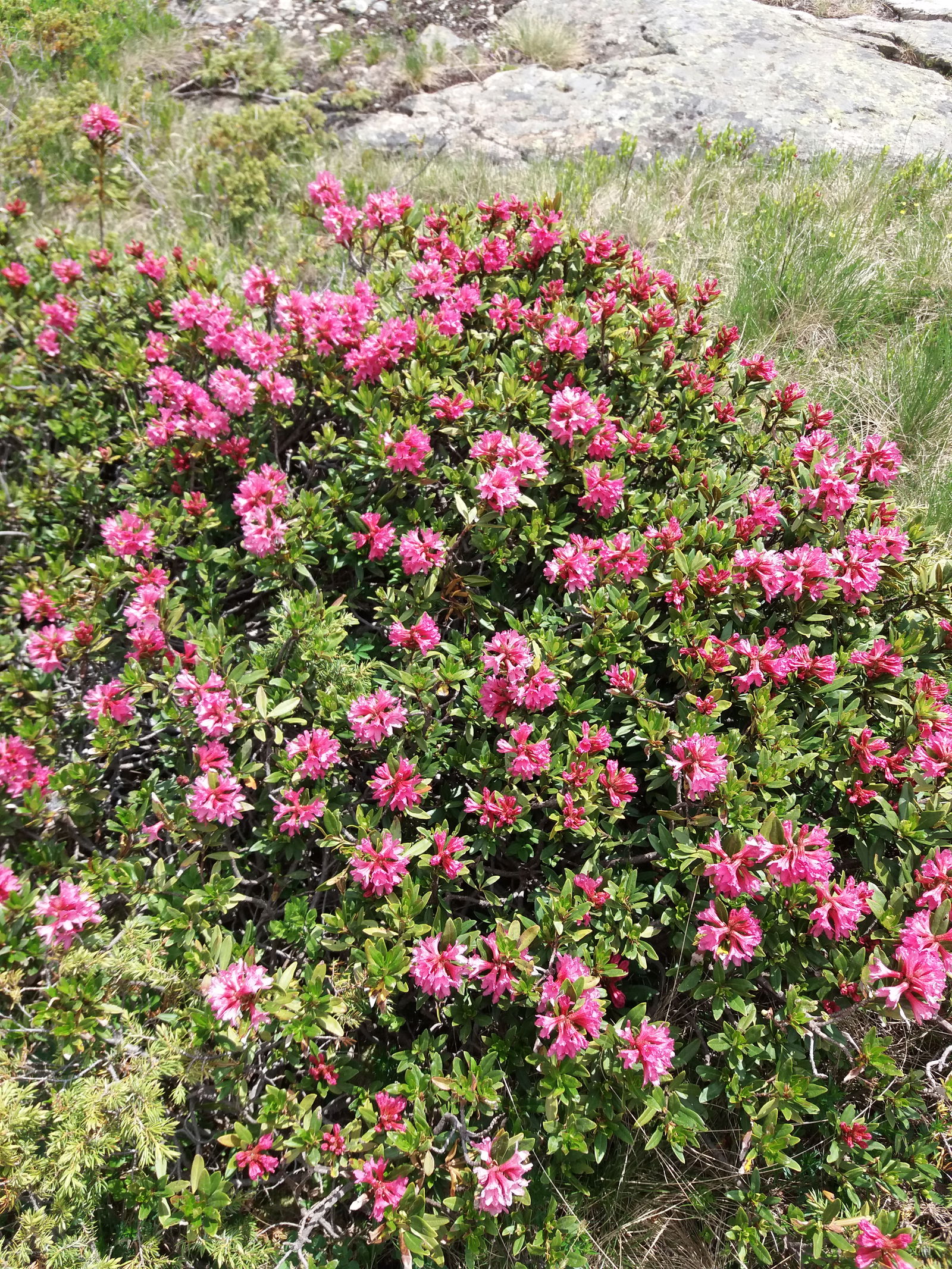 Tutta La Casa Saint-Julien-en-Champsaur 651138