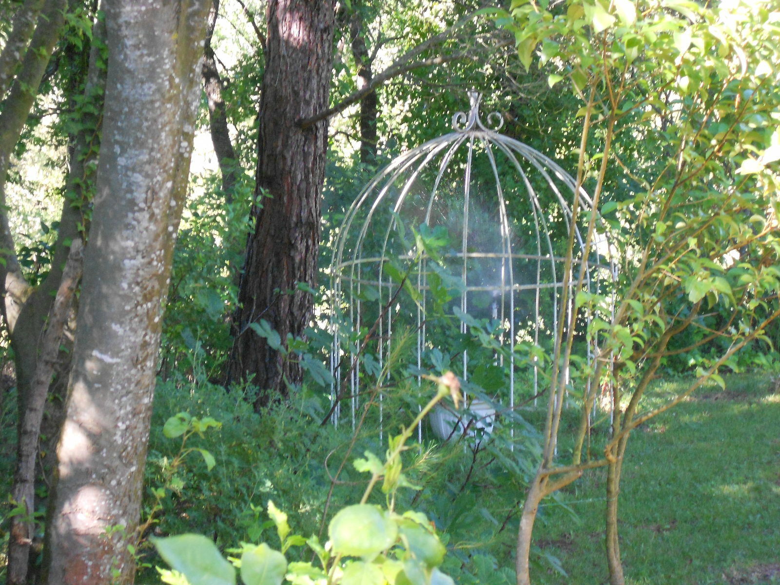 Tutta La Casa Vaugines 133998