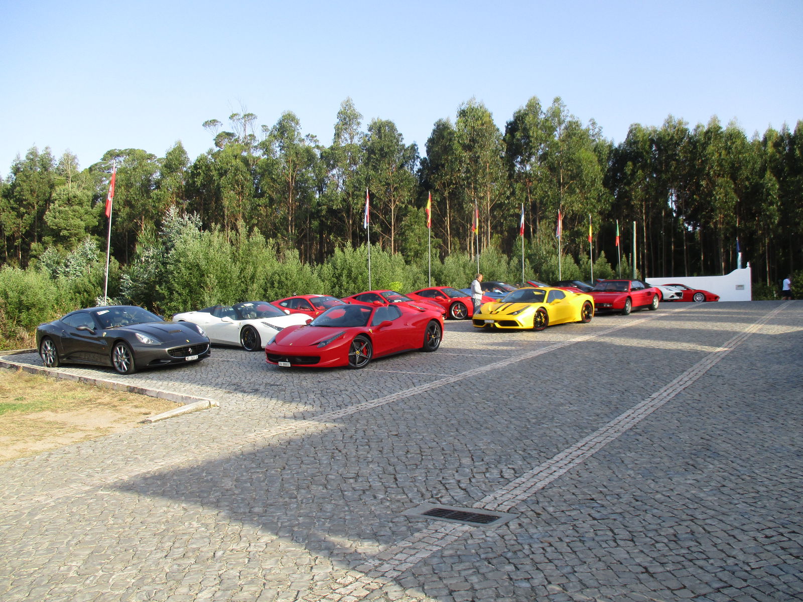 Famiglia Buarcos 382713