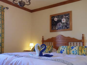 Logement Entier Icod De Los Vinos 138460-10