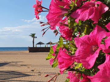 Logement Entier Valras-Plage 265792-14