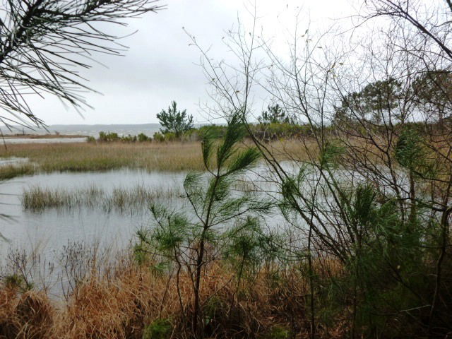 Independent Studio Hourtin 193456