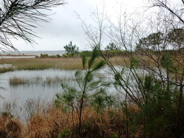 Logement Entier Hourtin 193456-11