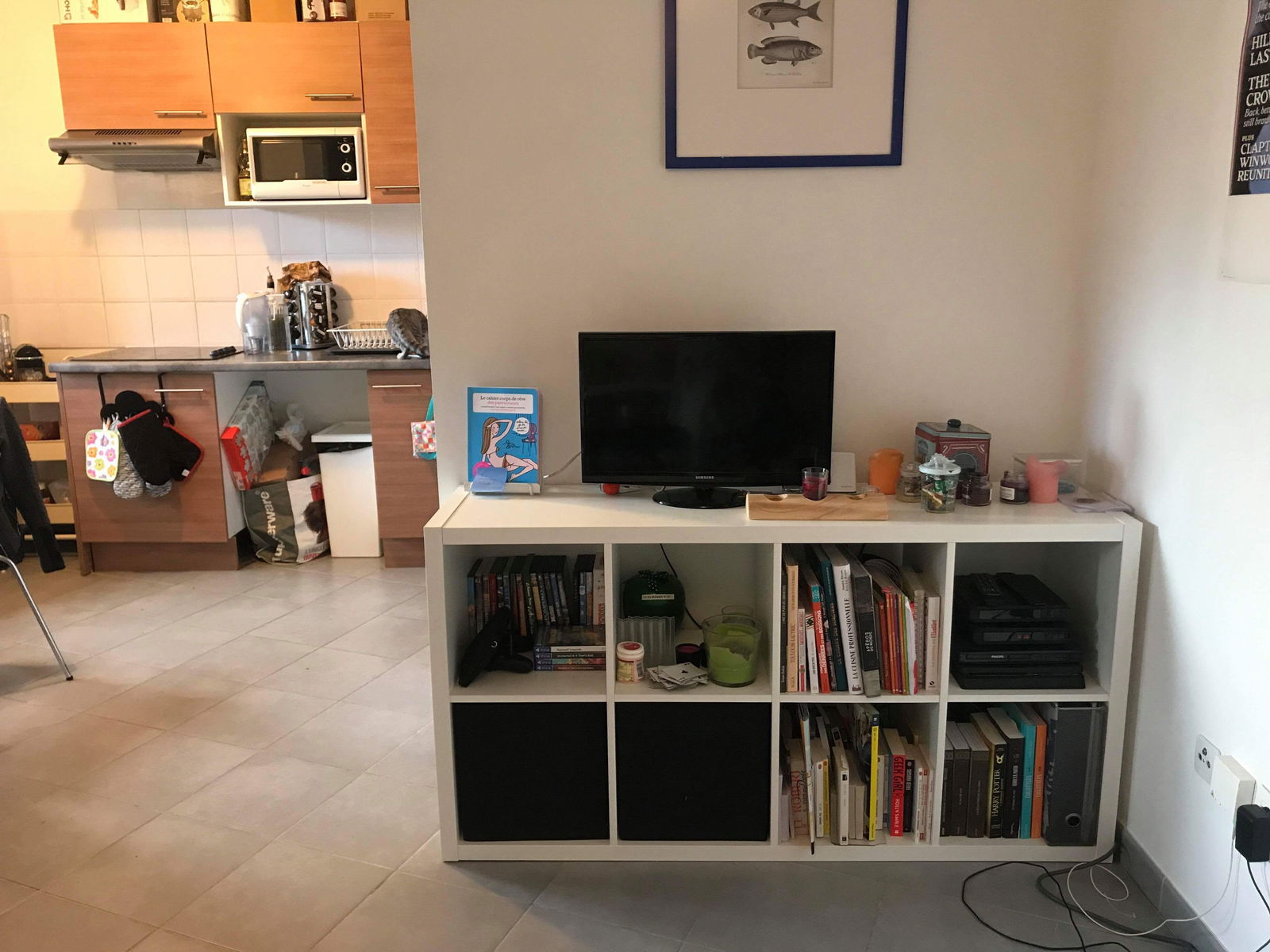 Colocation Toulouse 190801