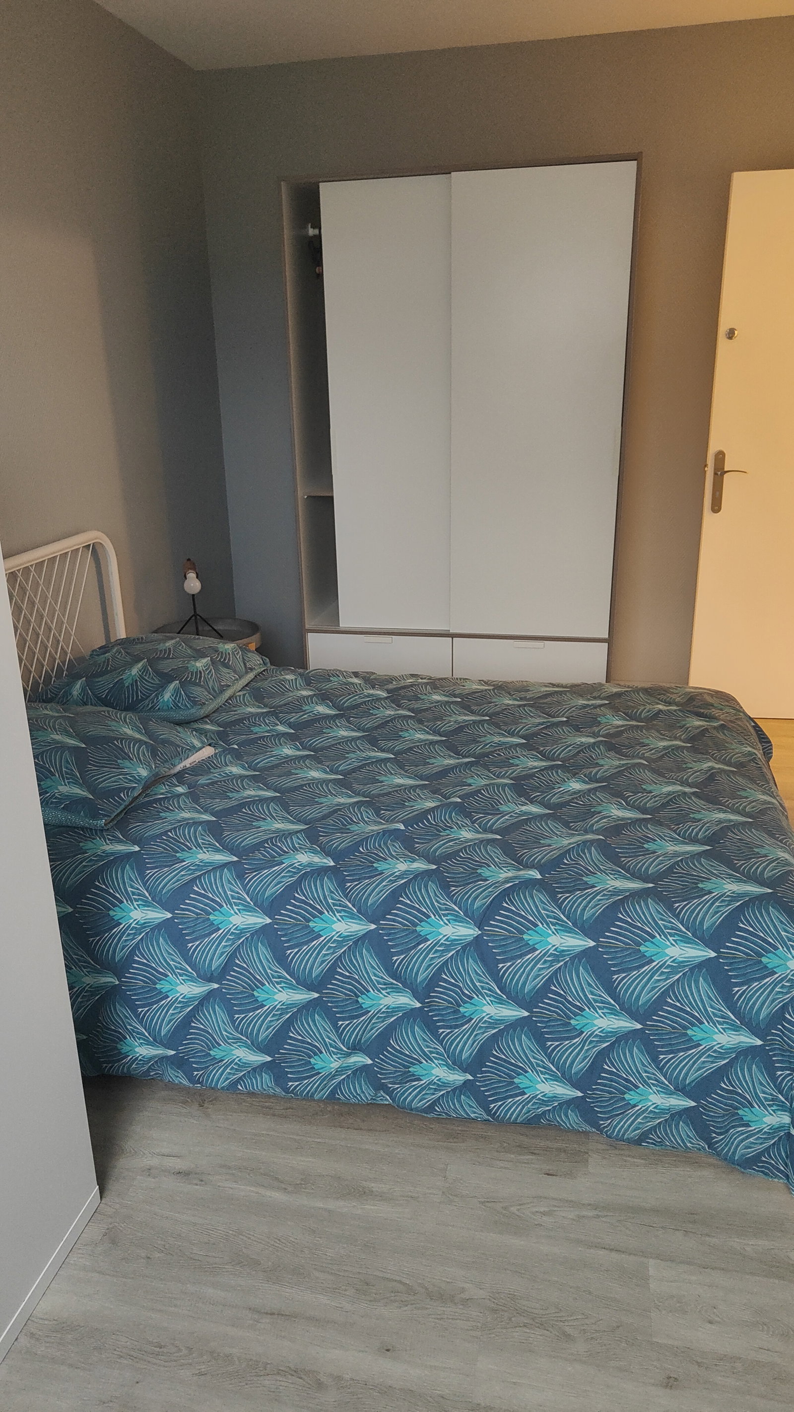 Colocation Mont-Saint-Aignan 483065