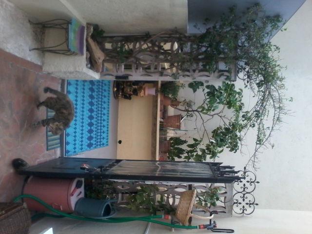Oberoende Studio Le Cannet 114755