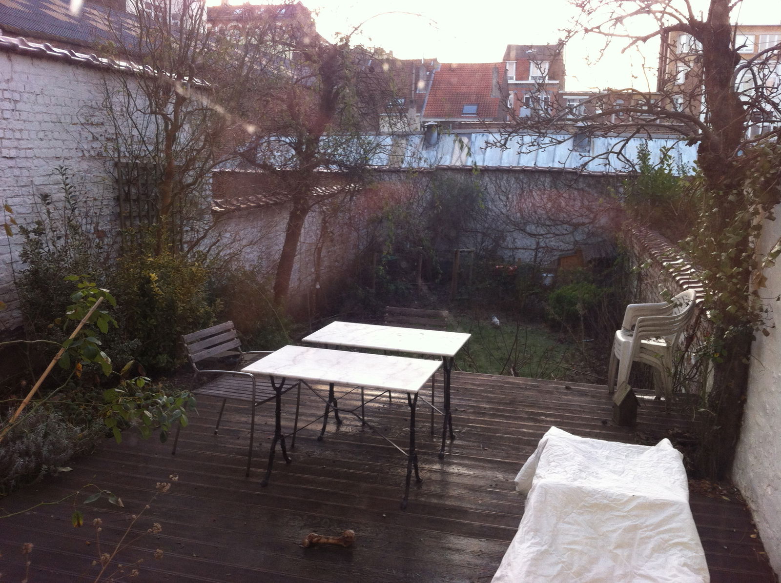 Colocation Forest 157811