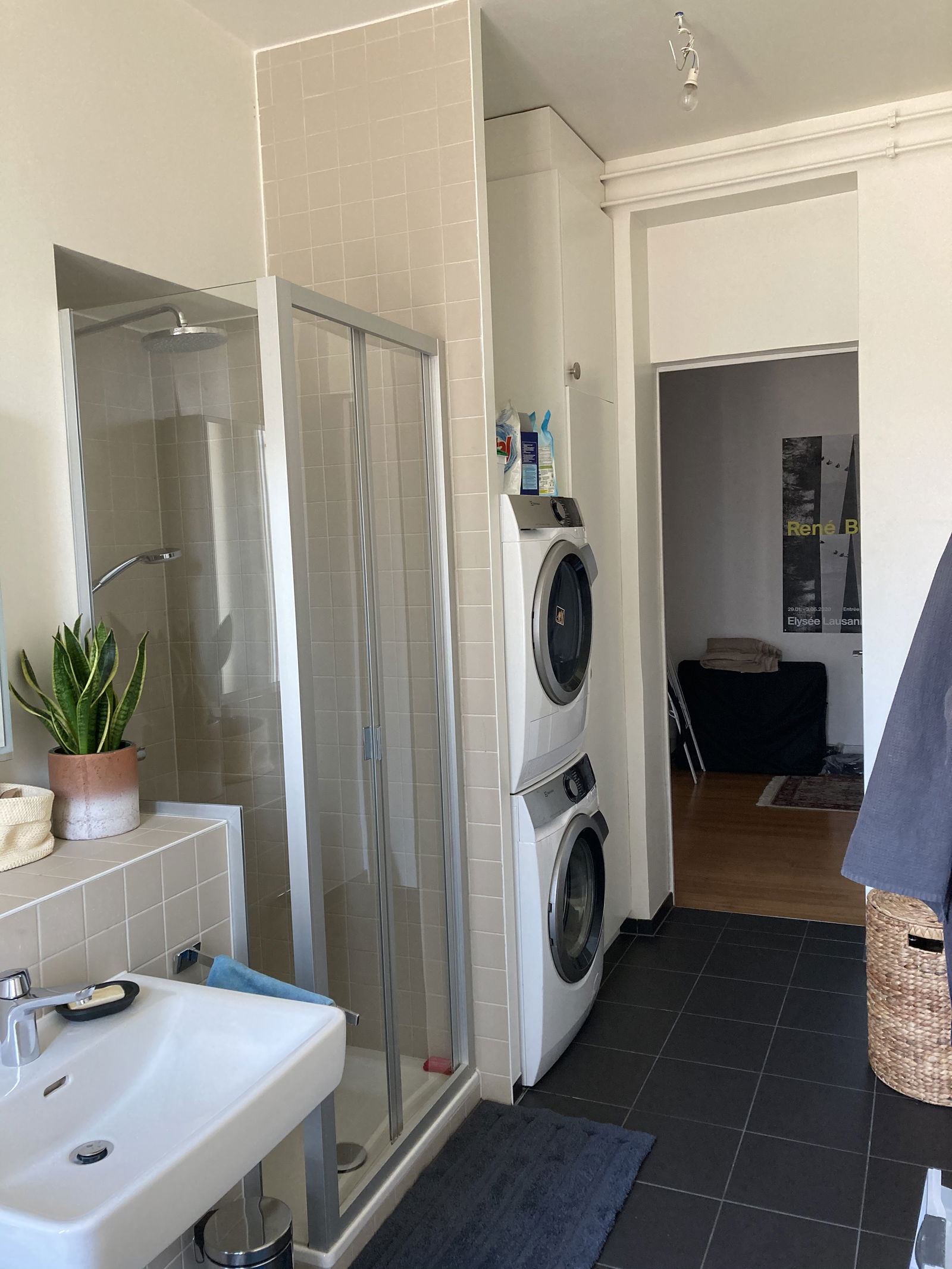 Colocation Lausanne 248258