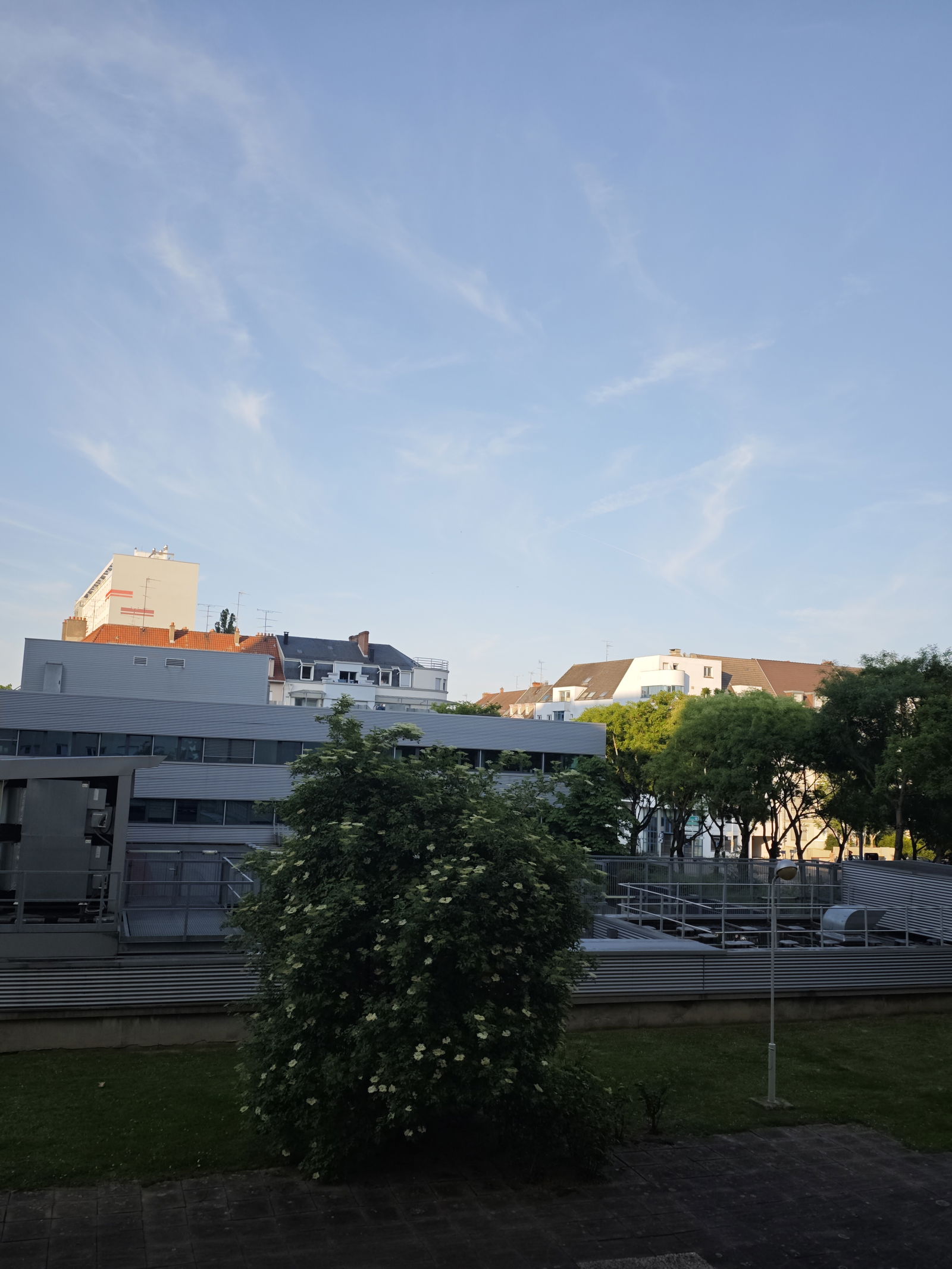 Colocation Mulhouse 516306