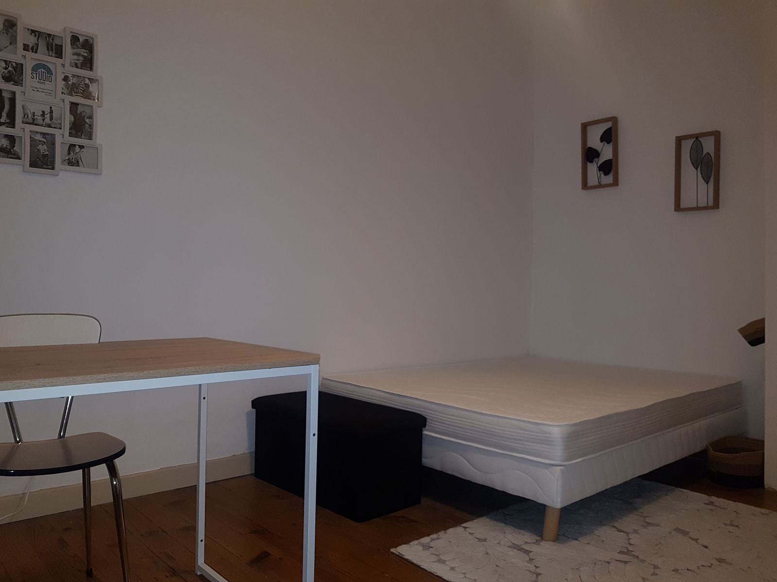 Colocation Roanne 336804