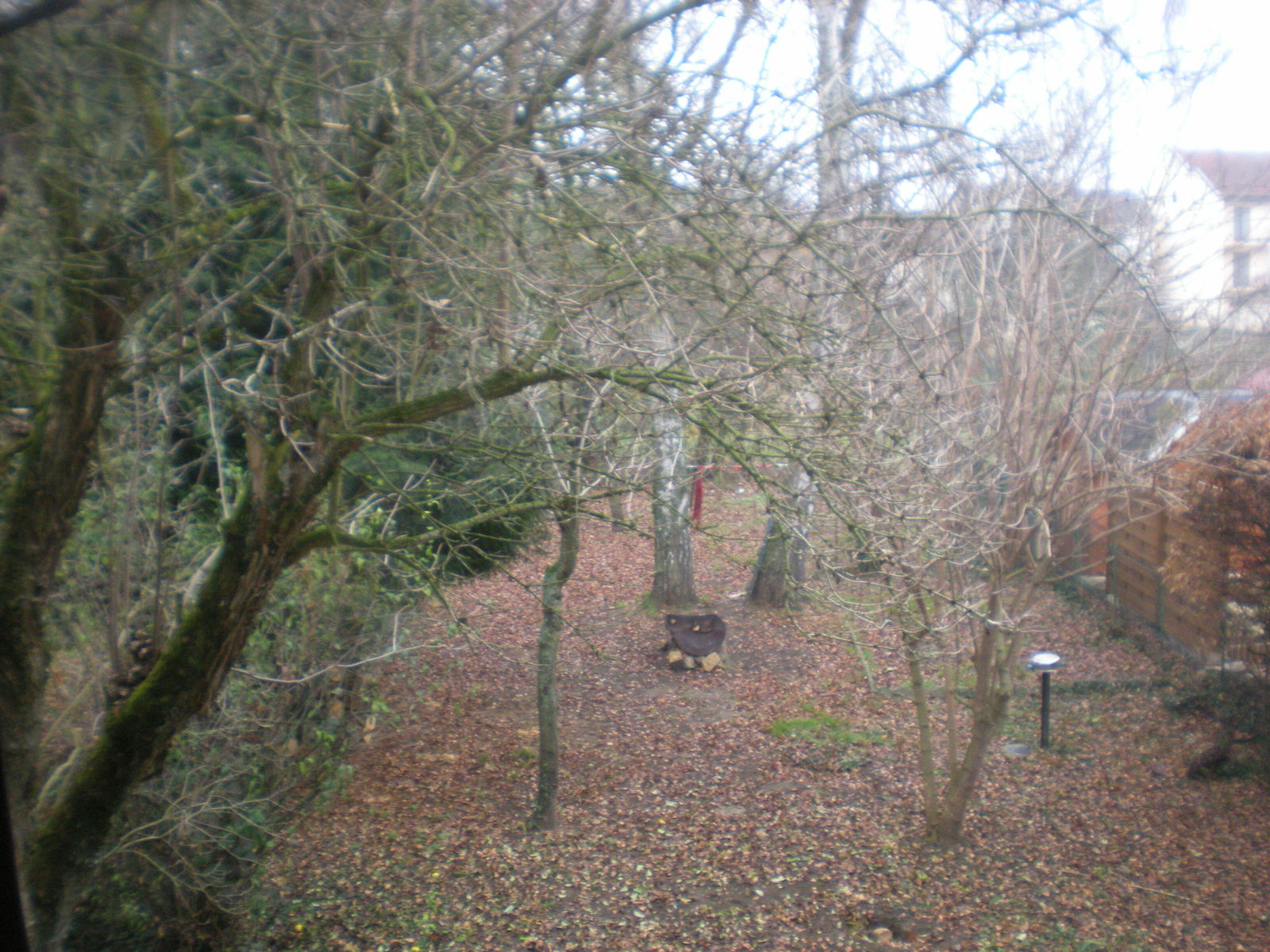 Colocation Essey-lès-Nancy 154191