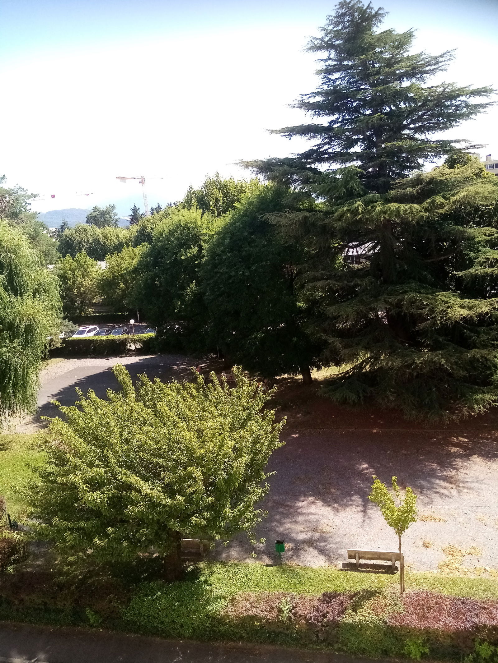 Colocation Saint-Martin-d'Hères 516087