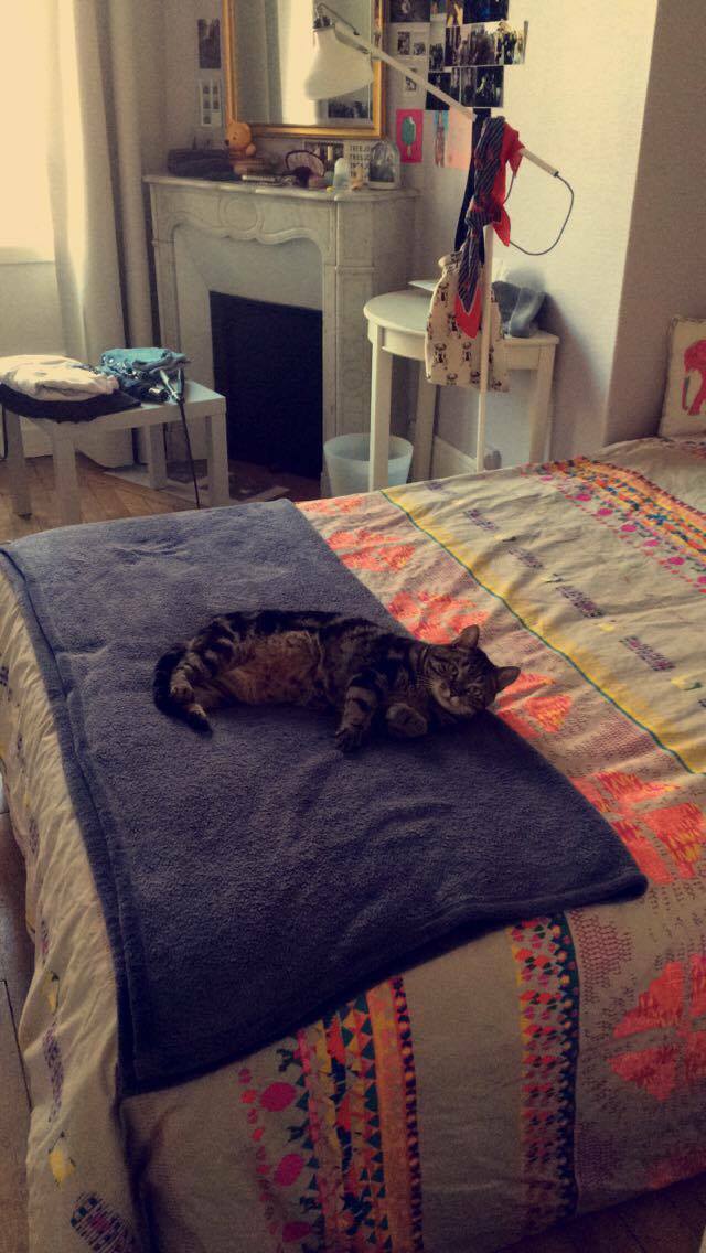 Colocation Boulogne-Billancourt 124512