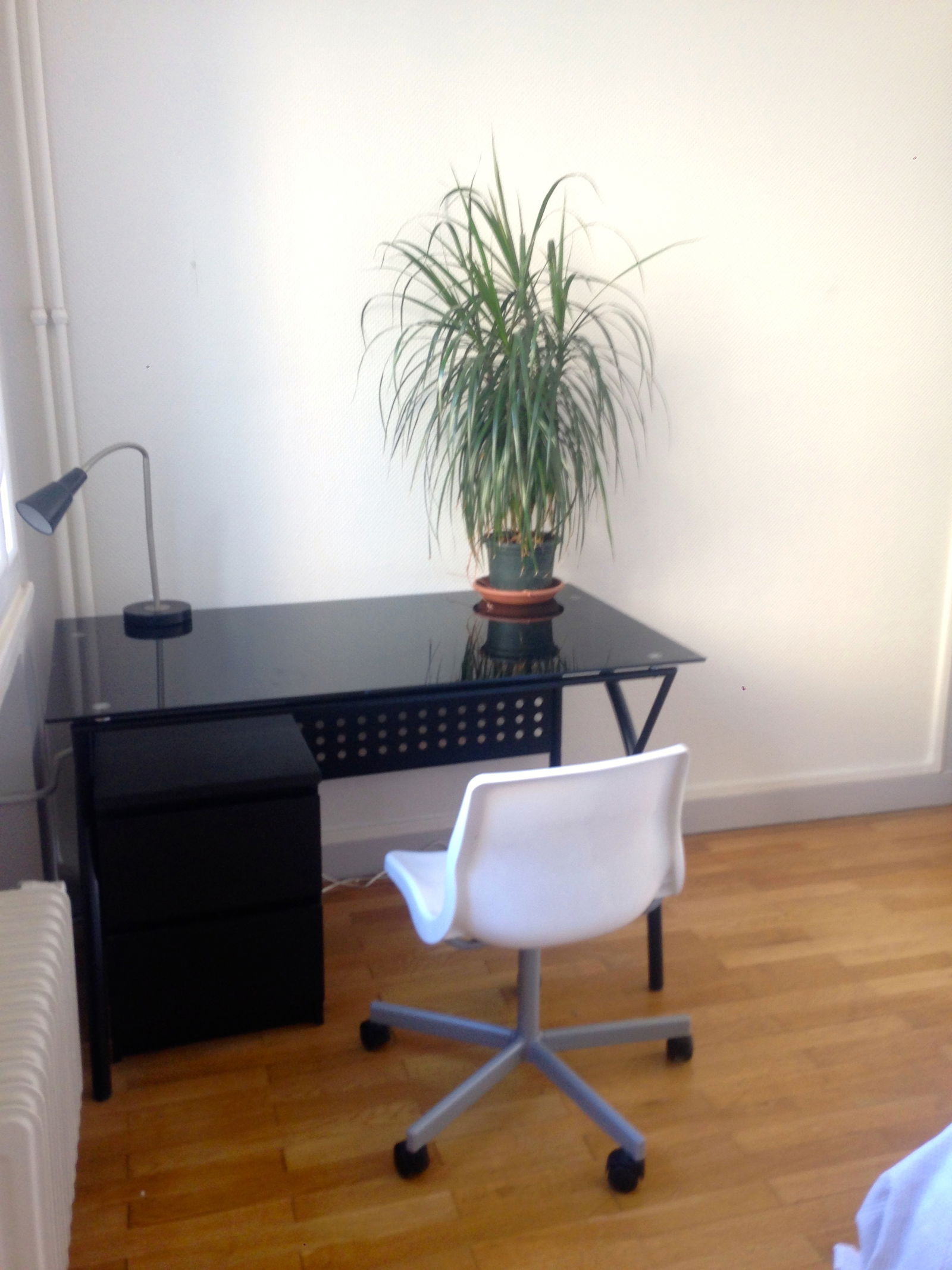 Colocation Lyon 170136