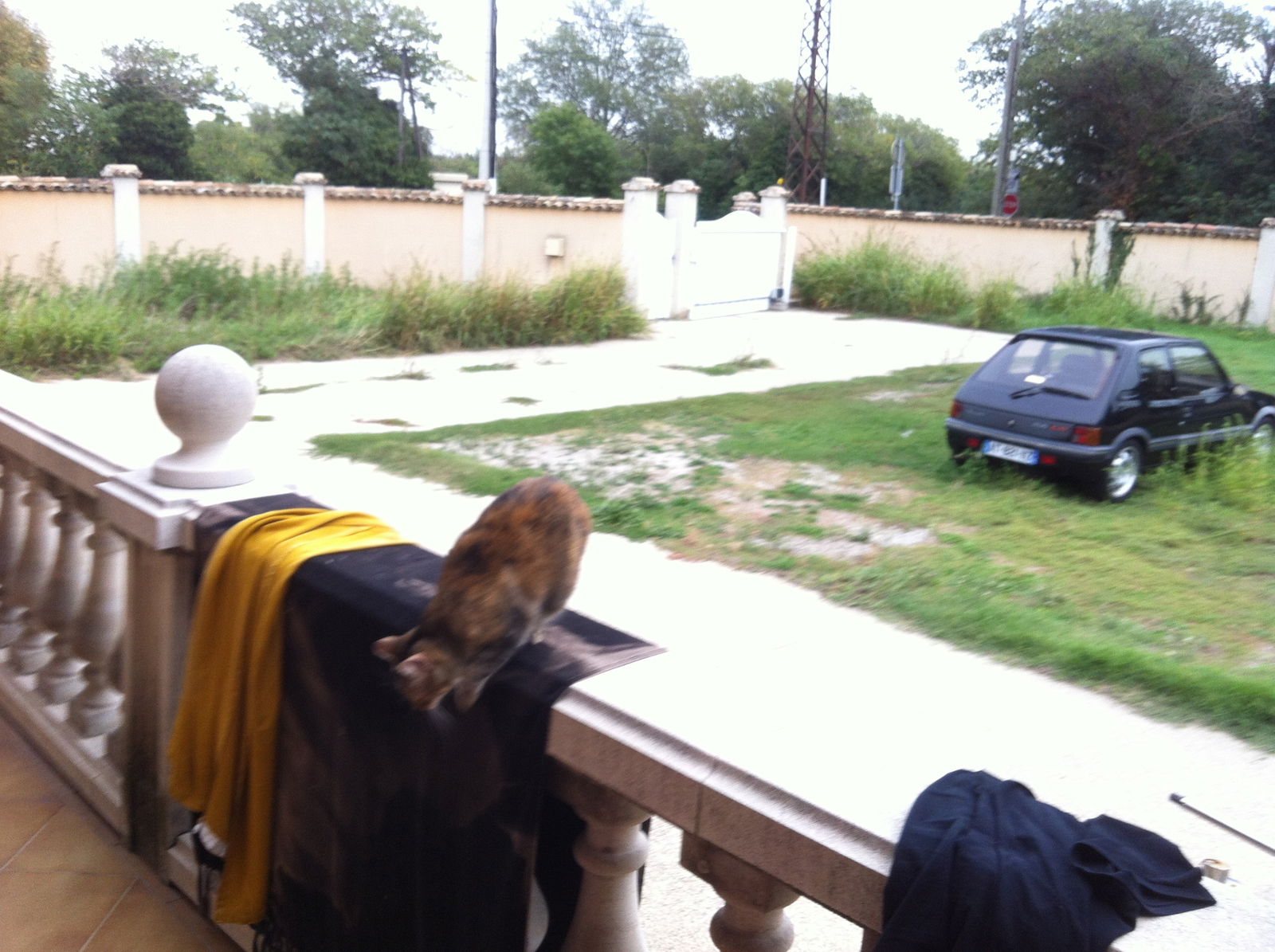 Colocation Salon-de-Provence 119819