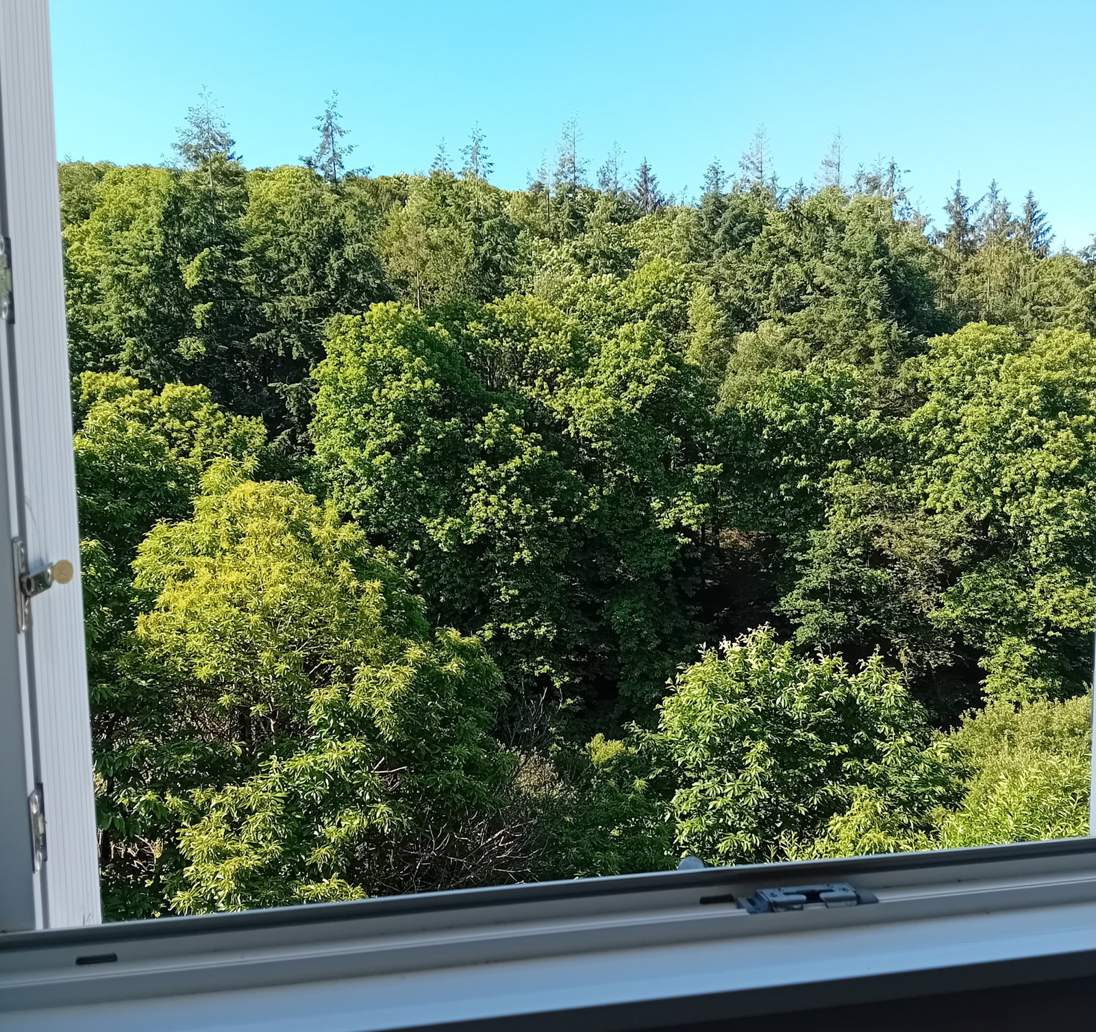 Colocation Plonéis 652608