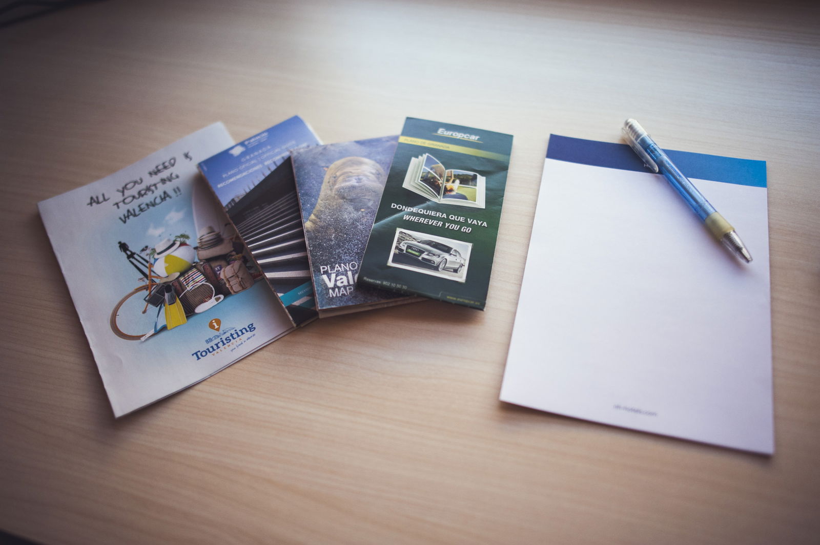 Hjemmeophold València 155848