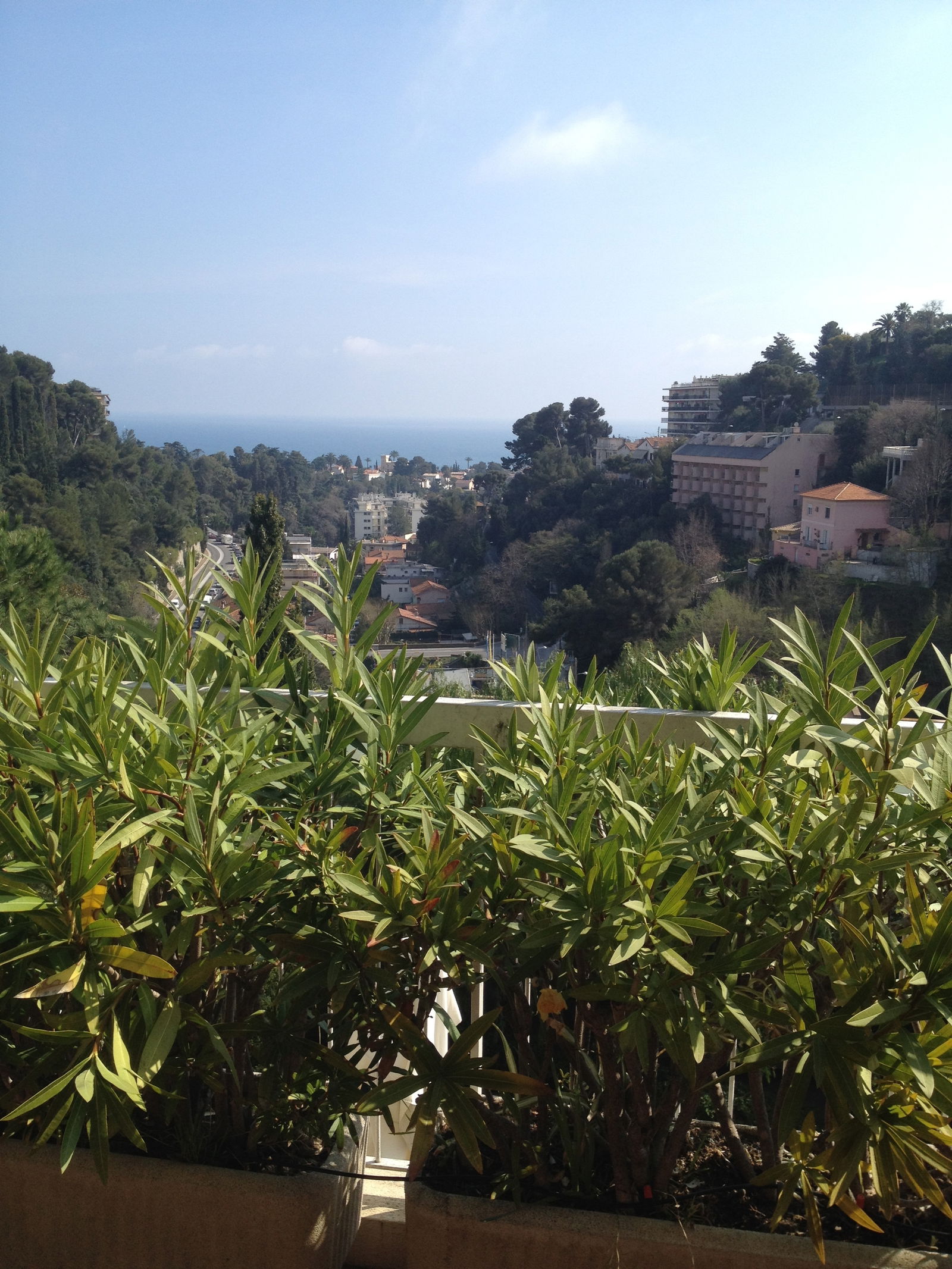 Hjemmeophold Nice 44337