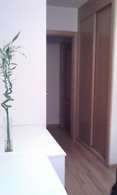 Colocation Alcobendas 104808