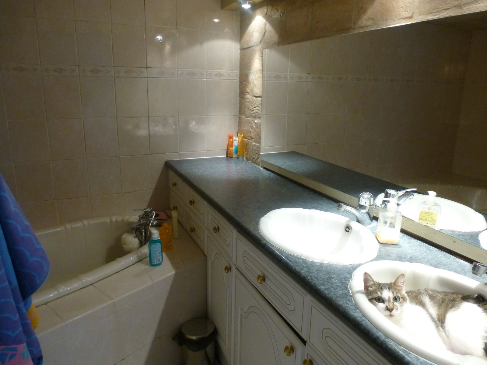 Colocation Lyon 249392