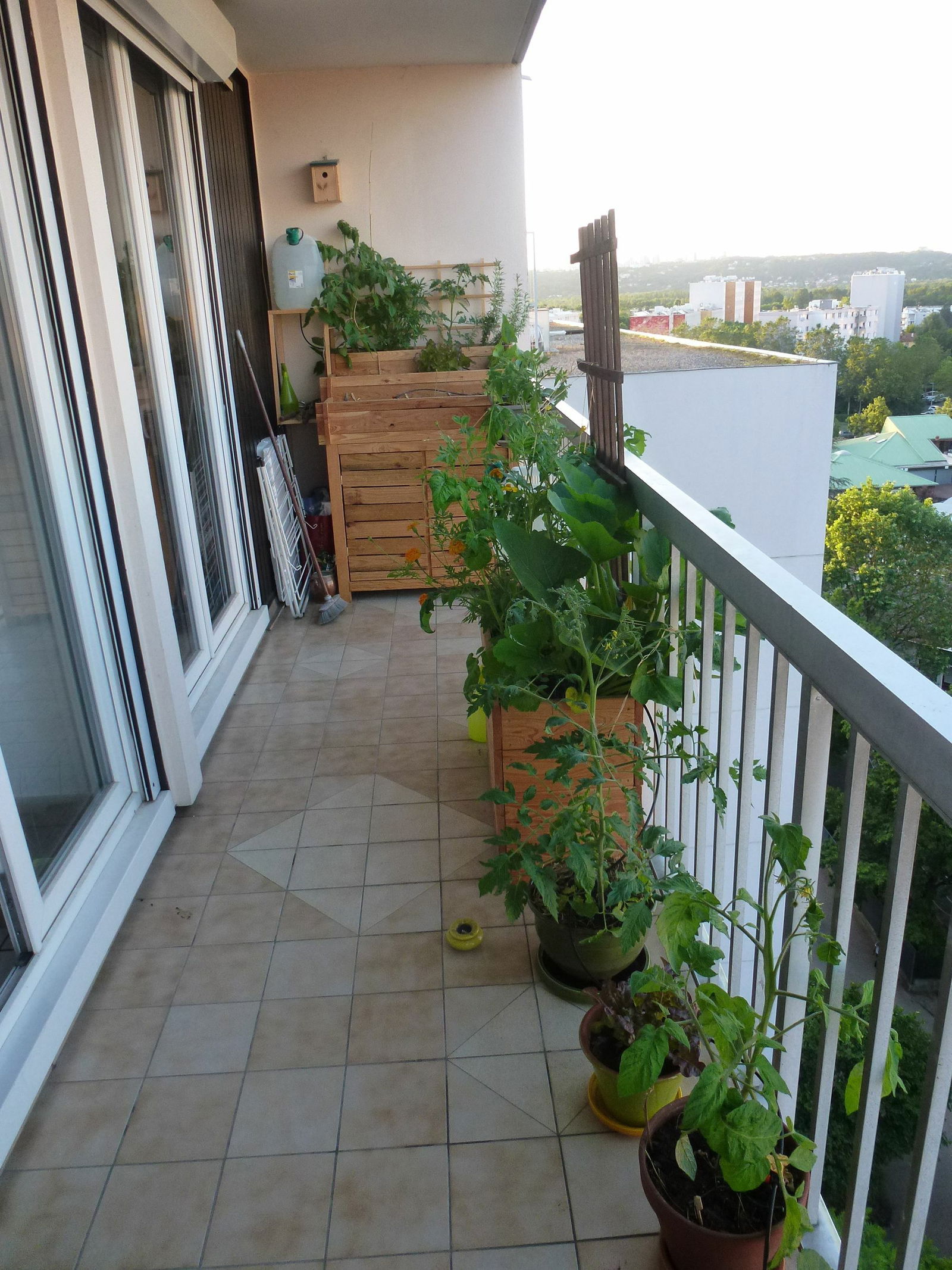 Colocation Vaulx-en-Velin 238193