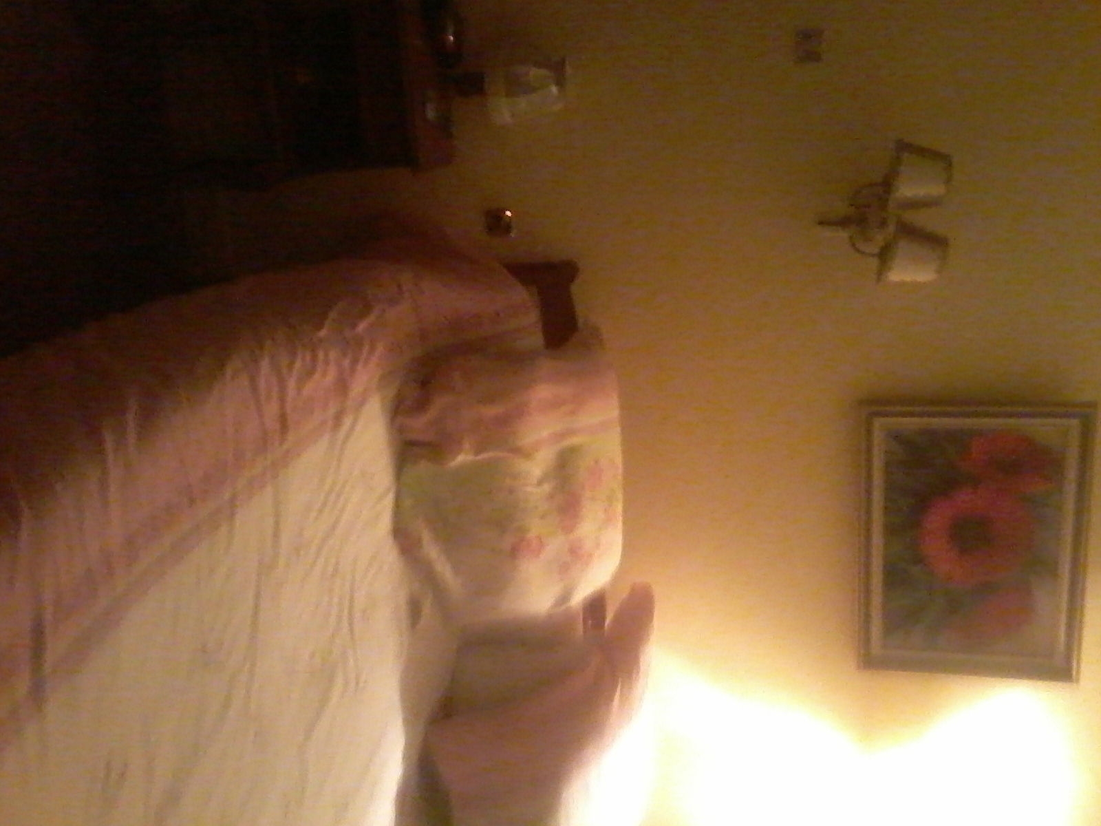 Hjemmeophold Paray-le-Monial 149060