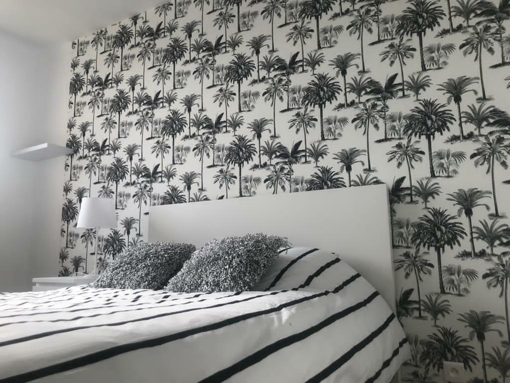 Colocation Bron 243751