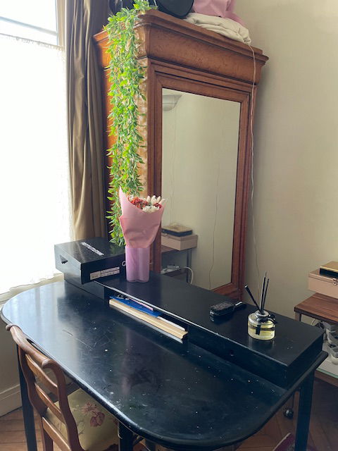 Hjemmeophold Paris 478405