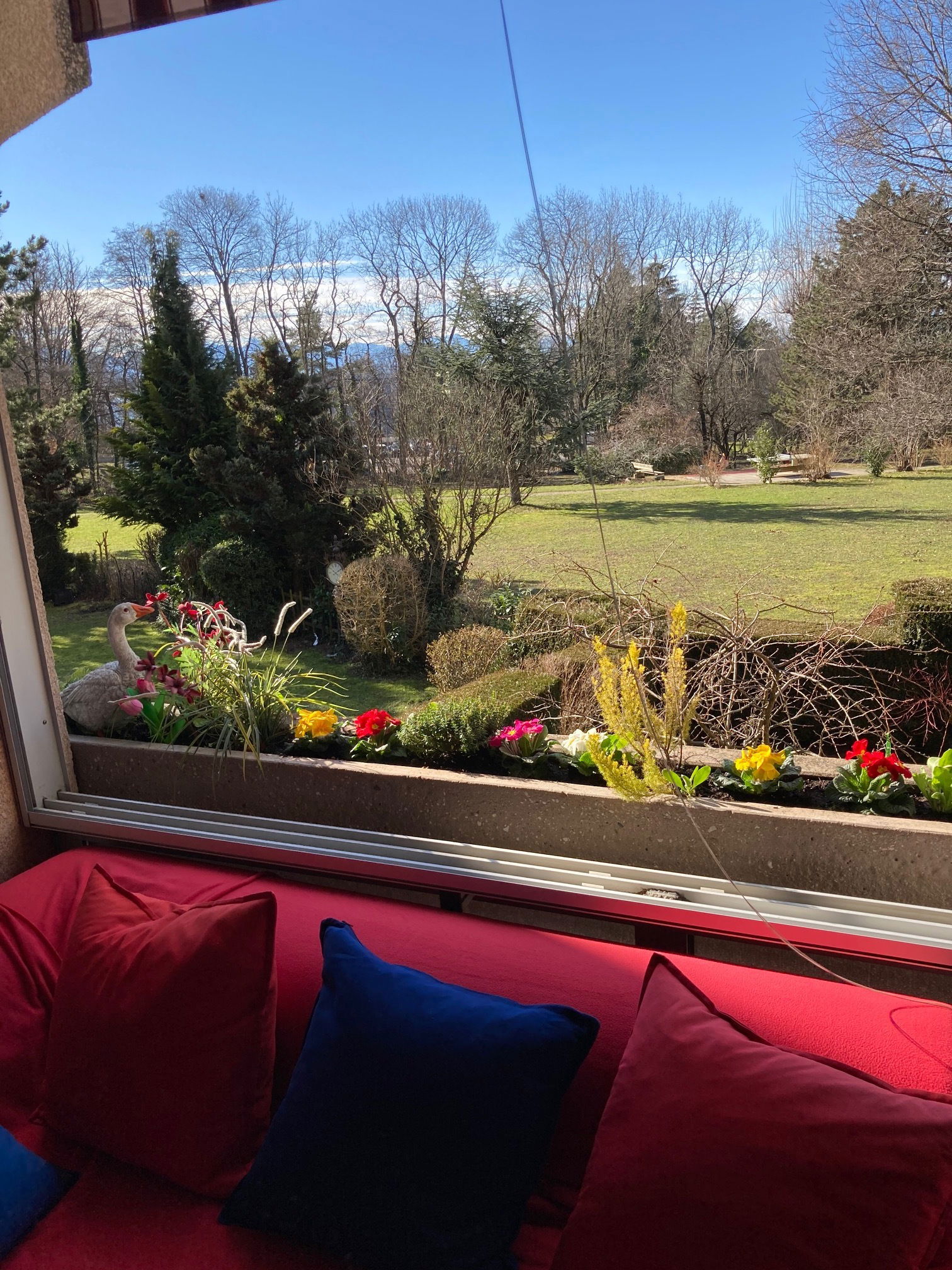 Hjemmeophold Epalinges 246123