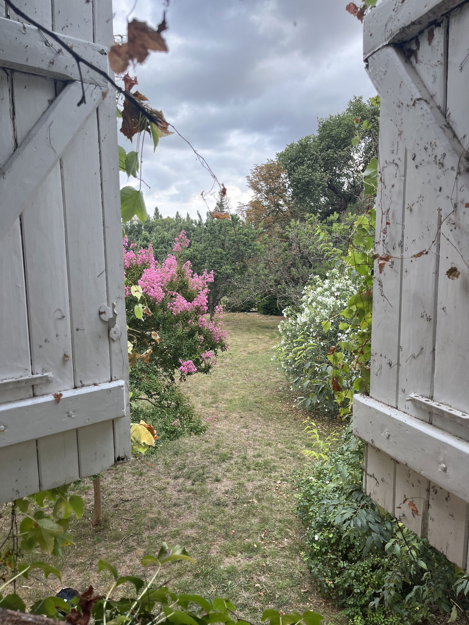 Hjemmeophold Montlaur 413381