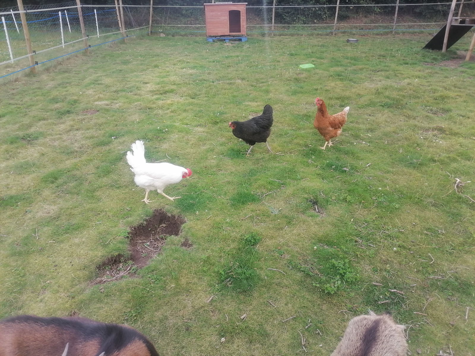 Hjemmeophold Plœuc-L'Hermitage 414241