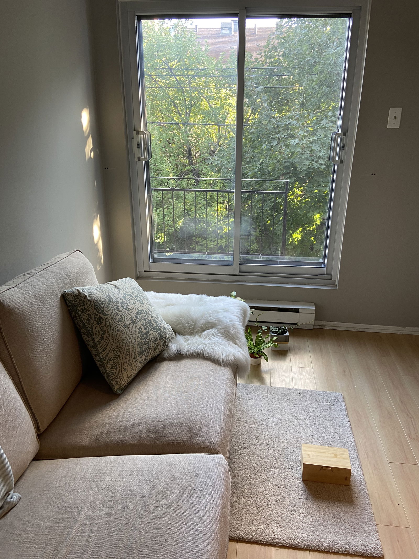 Coliving Montréal 424131