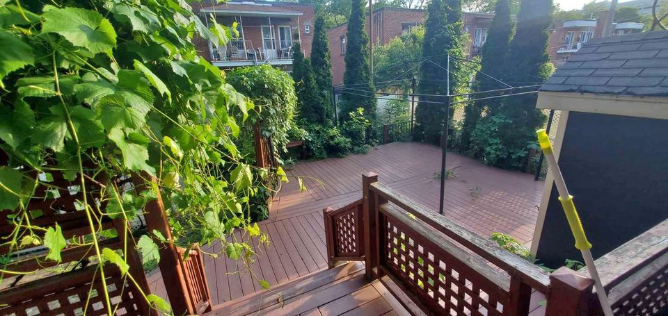 Colocation Montréal 431908