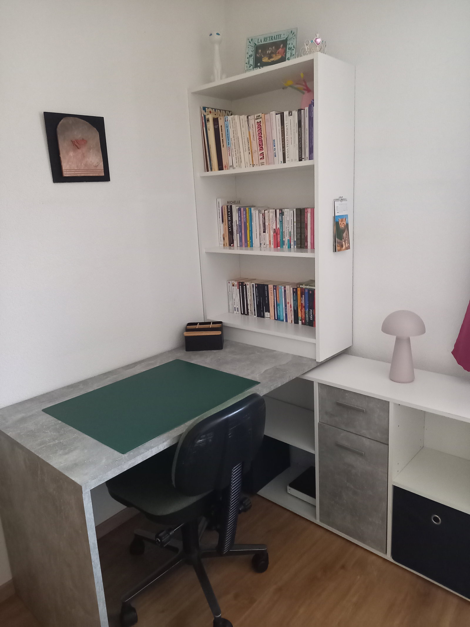 Hjemmeophold Conthey 650004