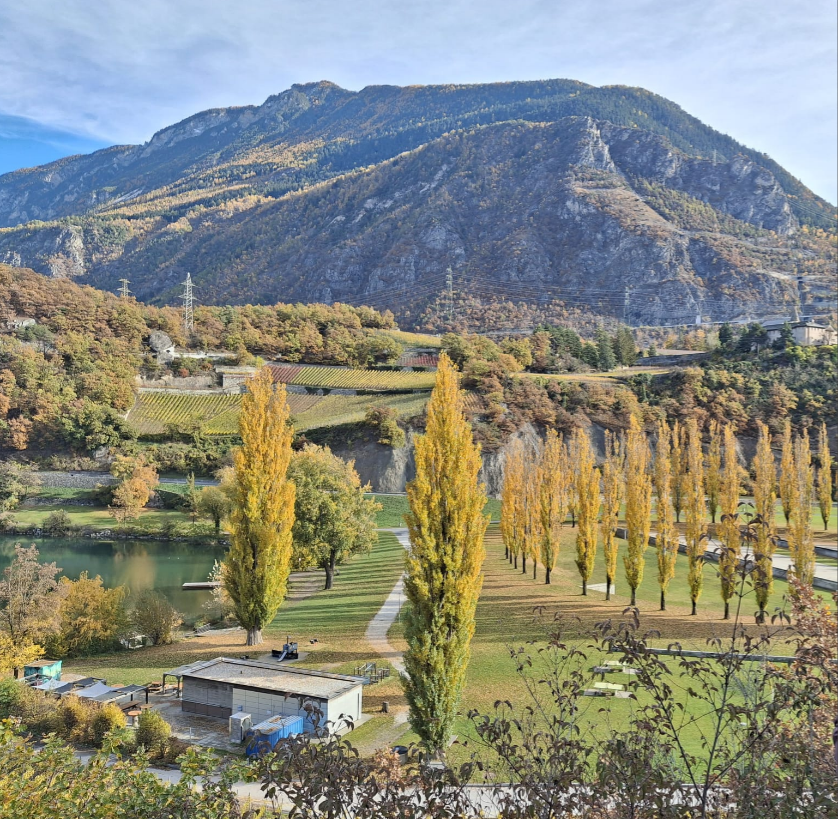 Colocation Sierre 655999