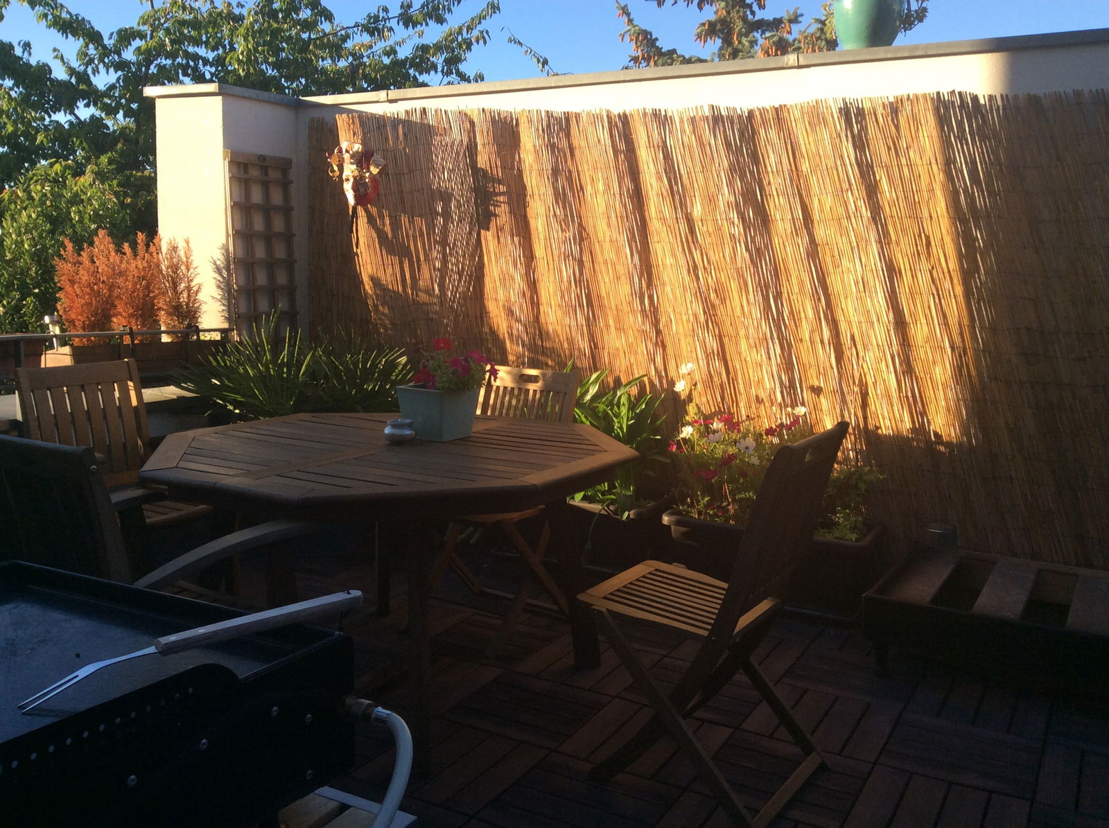 Hjemmeophold Carrières-sous-Poissy 213466