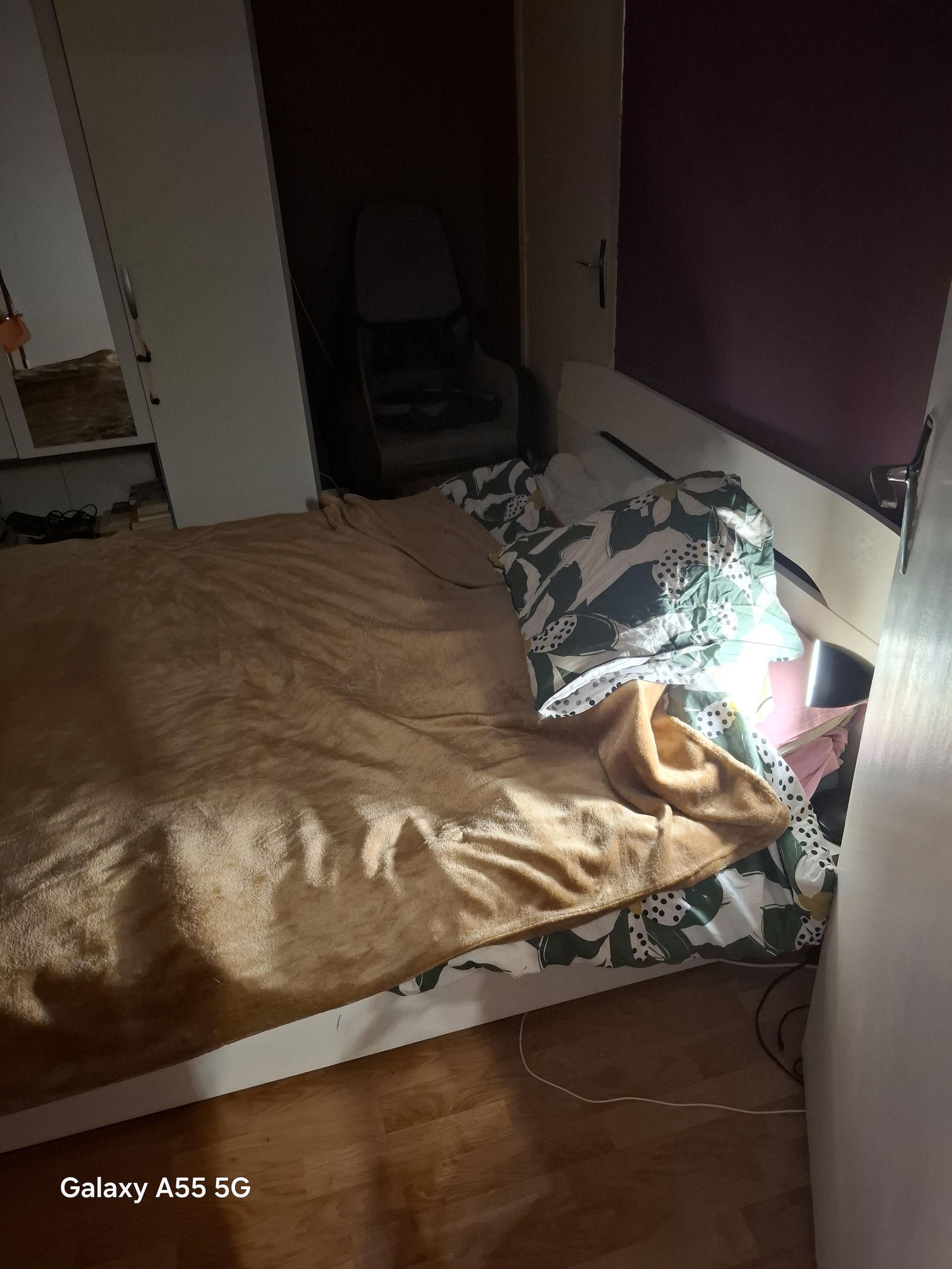 Hjemmeophold Combs-la-Ville 253395