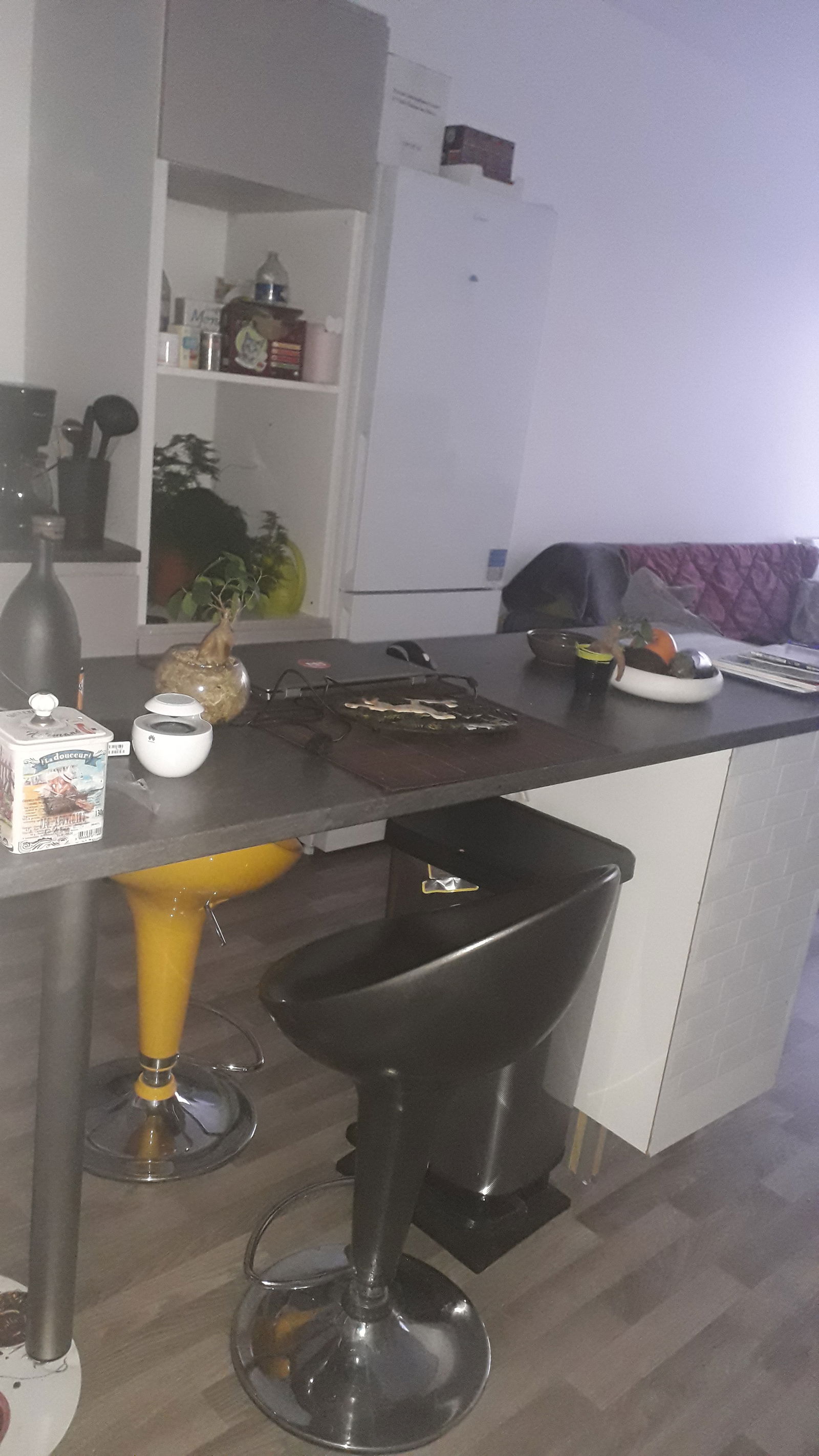 Hjemmeophold L'Île-Saint-Denis 232590