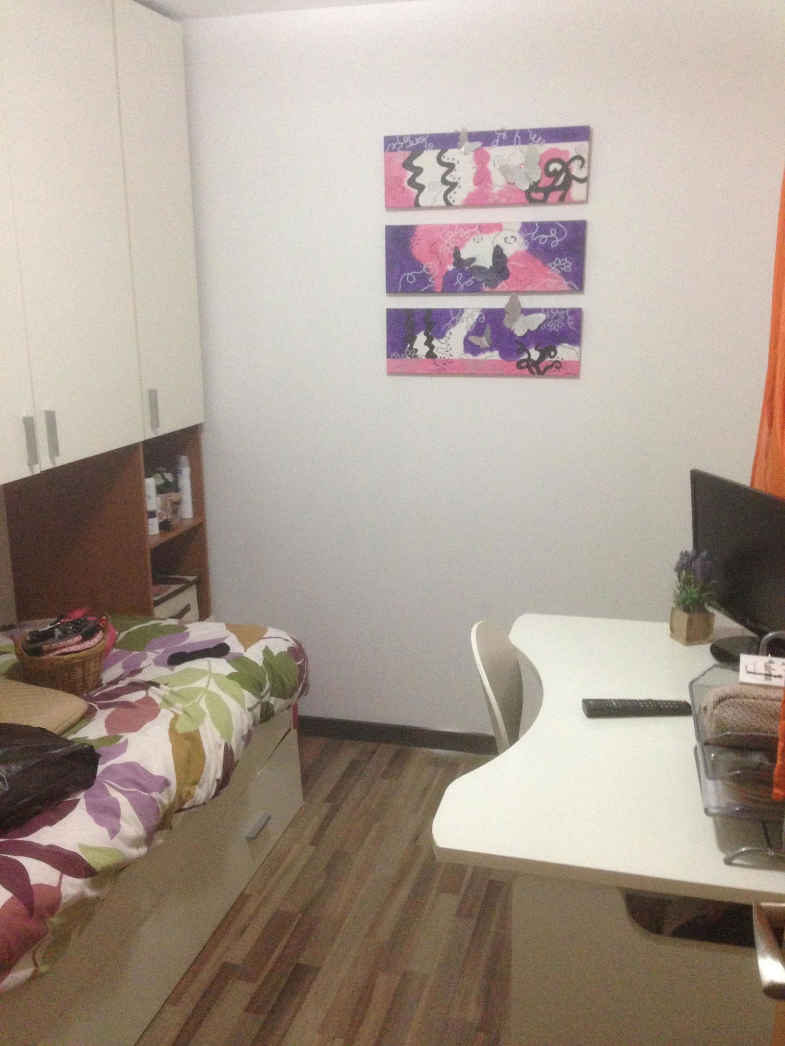 Colocation Castelló de la Plana 157962