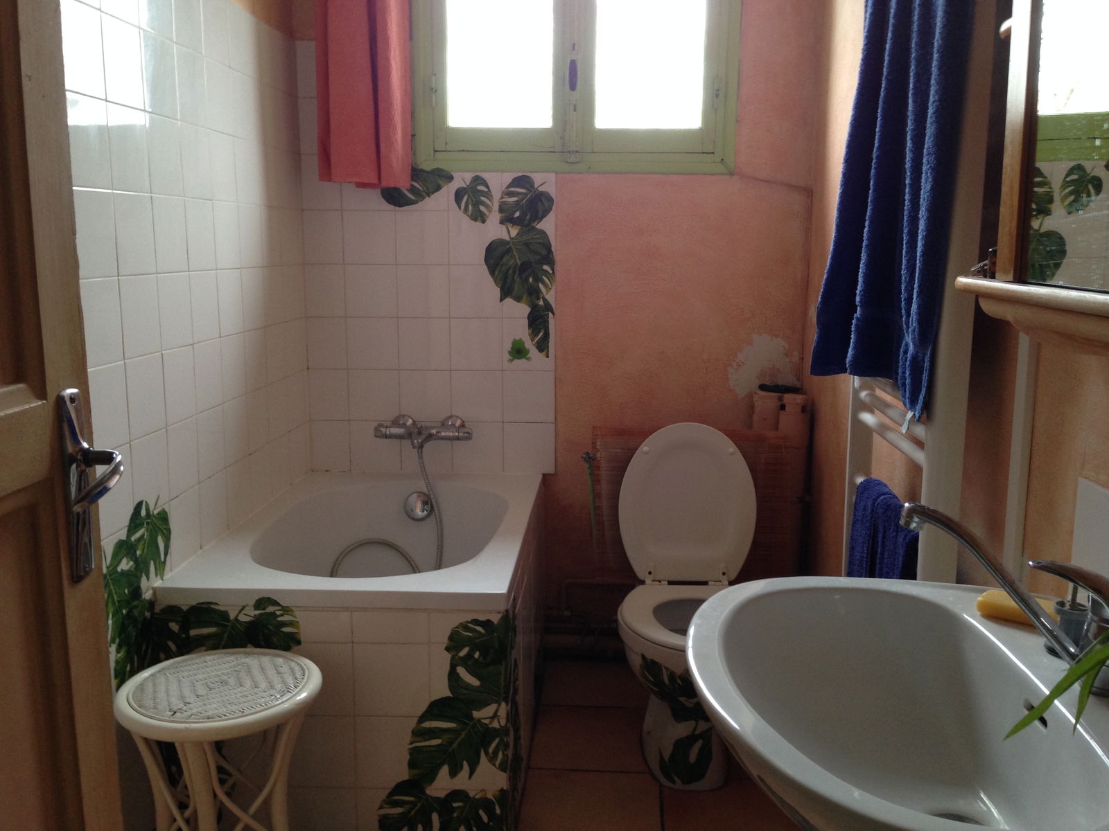 Colocation Avignon 125298