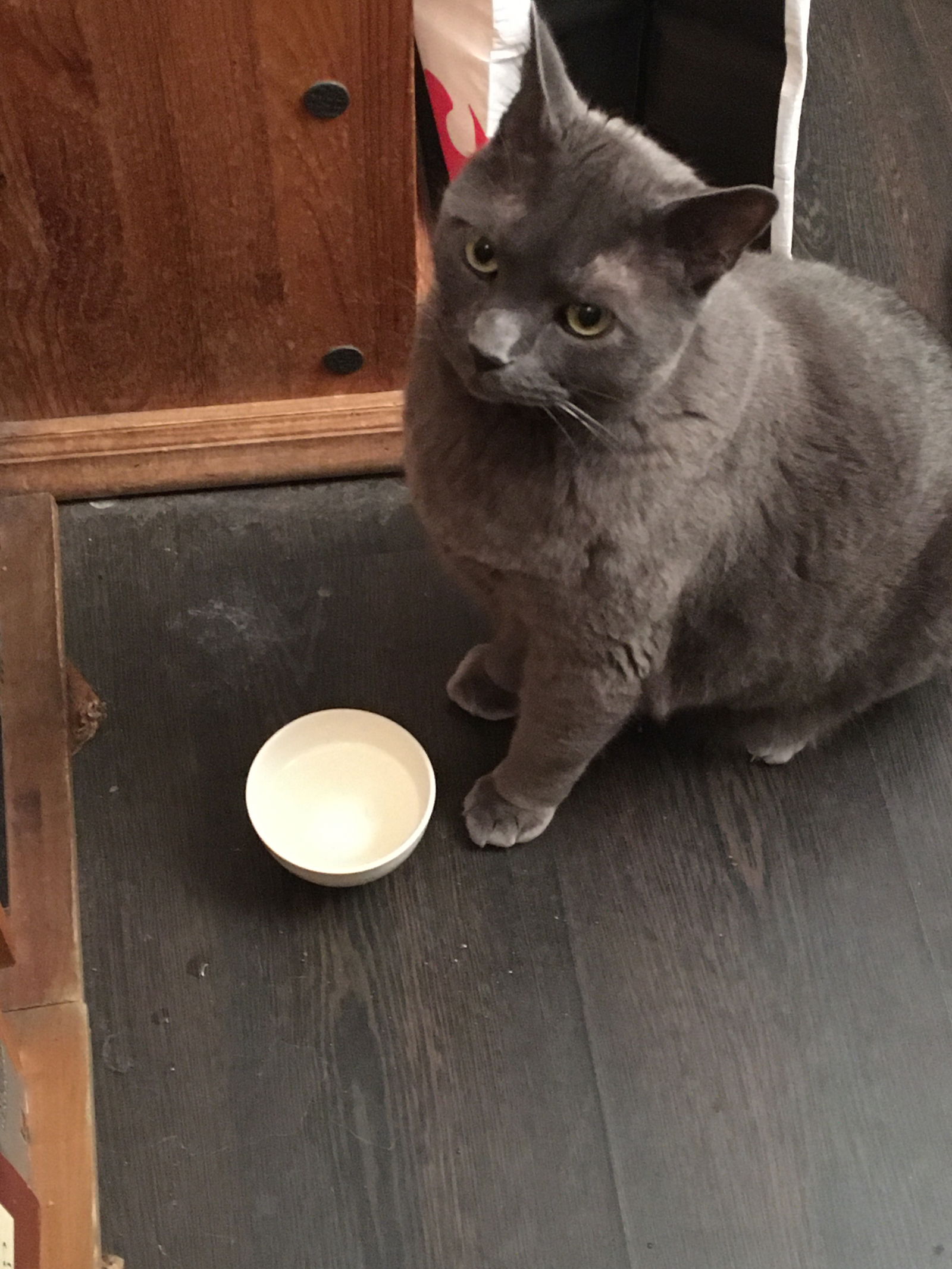 Hjemmeophold Ivry-sur-Seine 240623