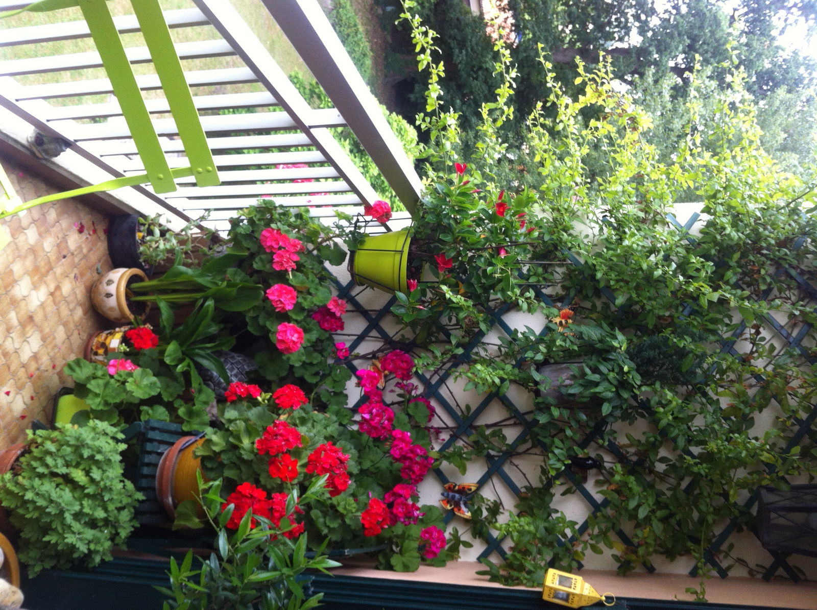 Hjemmeophold Mérignac 106901